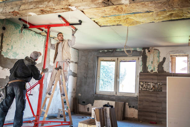 Best Insulation Contractor Near Me  in Linda, CA
