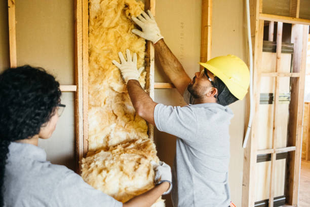 Best Best Insulation Companies  in Linda, CA