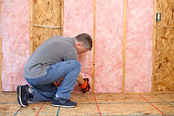 Insulation Inspection Services in Linda, CA