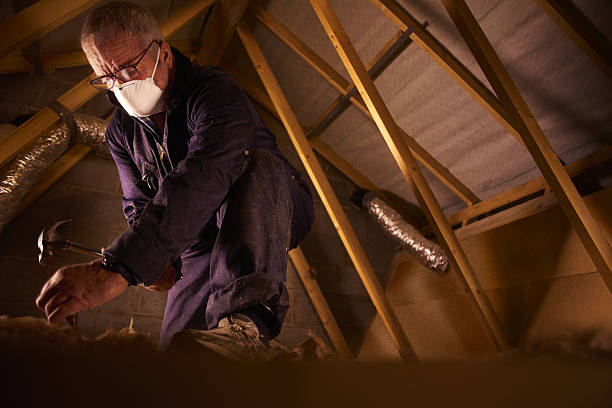 Best Residential Insulation Services  in Linda, CA