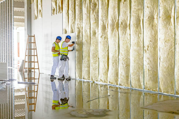 Best Commercial Insulation Contractor  in Linda, CA